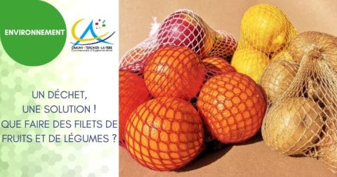 Filet De Course Fruits Un déchet, une solution ! Que faire des filets de fruits et de légumes ...
