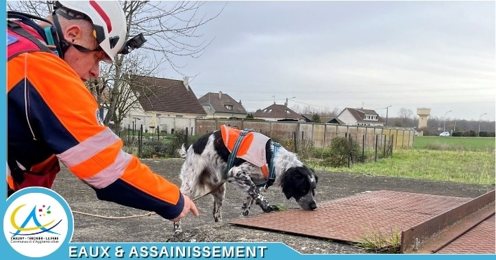 Recherche canine de fuites sur le réseau d’eau potable