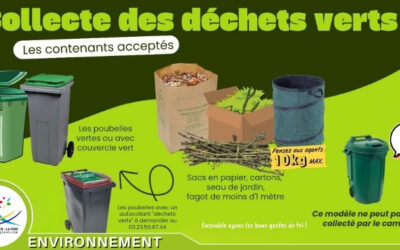 Collecte des déchets verts : règles et contenants conformes