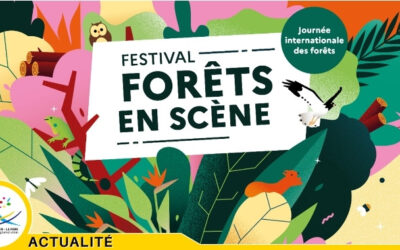 La forêt de Saint-Gobain à l’honneur pour la Journée internationale des forêts
