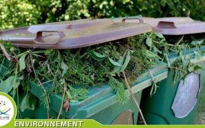 Déchets Verts : adoptons les bons gestes
