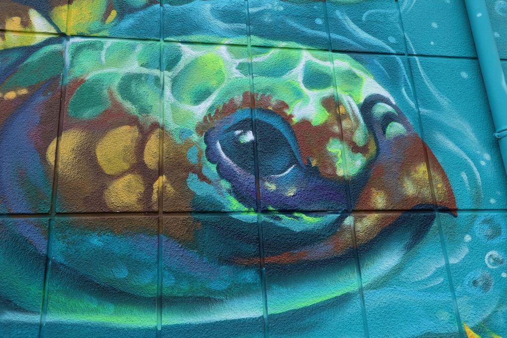 Une fresque street art sur la station de pompage à Abbécourt 03 - Communauté d'agglomération Chauny Tergnier La Fère