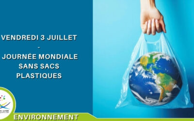 Demain c’est la Journée mondiale sans sac plastique : adoptons les bons réflexes pour préserver notre environnement
