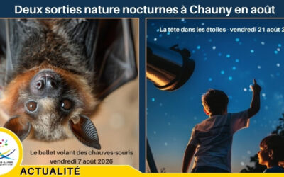 Deux sorties nature nocturnes à Chauny en août