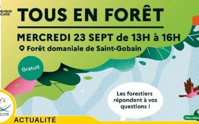Tous en forêt : à la rencontre des forestiers dans la forêt domaniale de Saint-Gobain